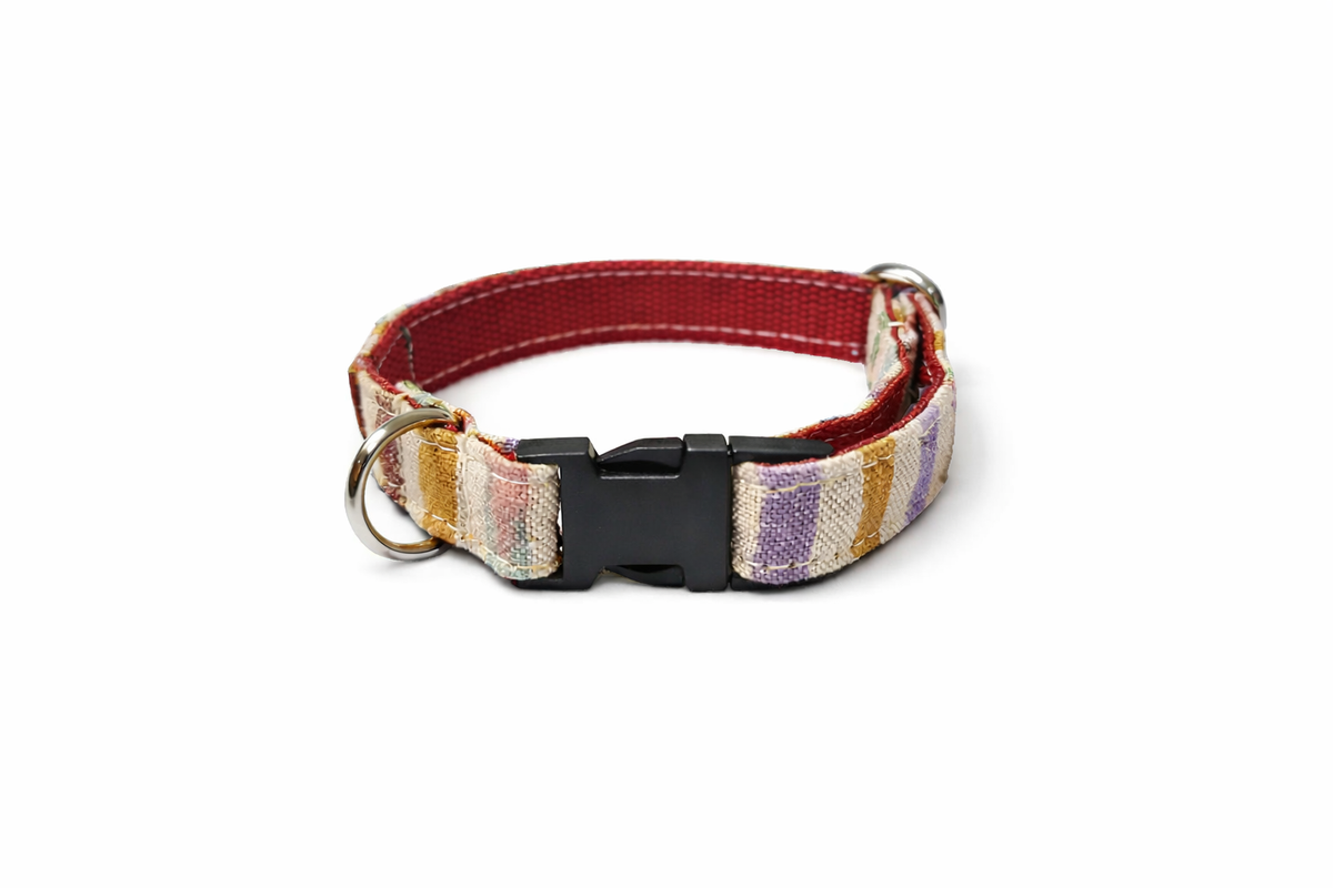 #collar_rainbow_01