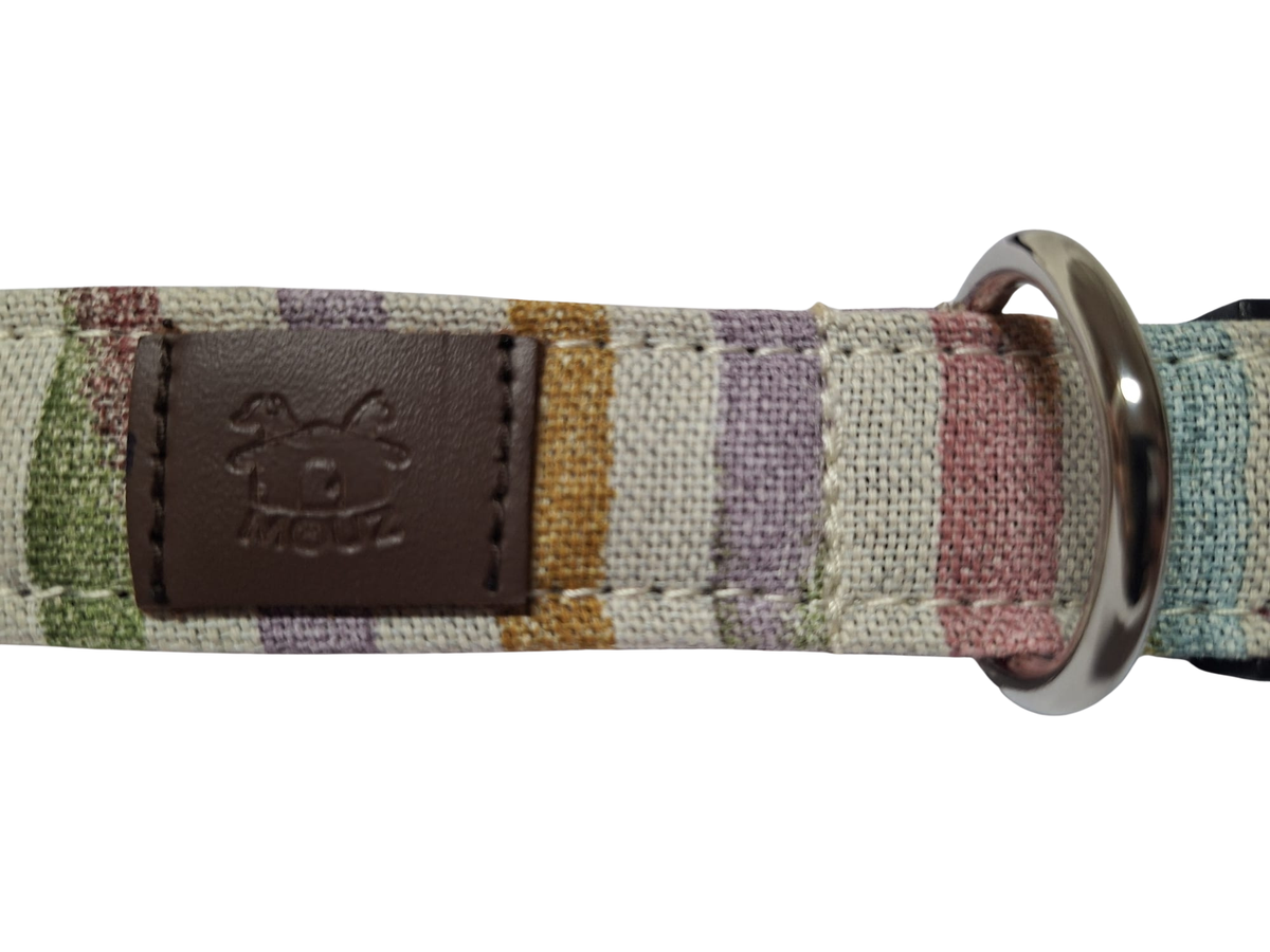 #collar_rainbow_06